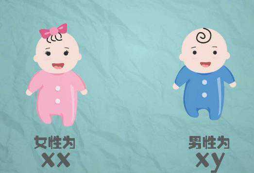 广州私立医院供卵不排队，广州私立生殖医院排名榜