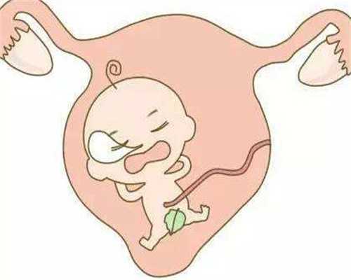 代孕湿气重对胎儿有什么影响吗  代孕湿气重怎么