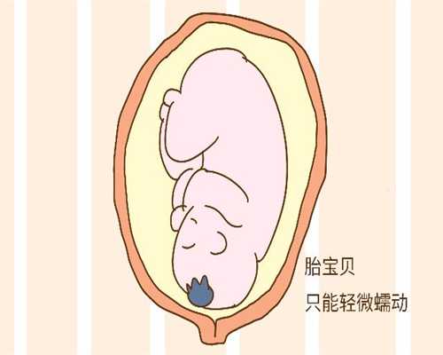 代代孕间失眠_北京传承助孕中心