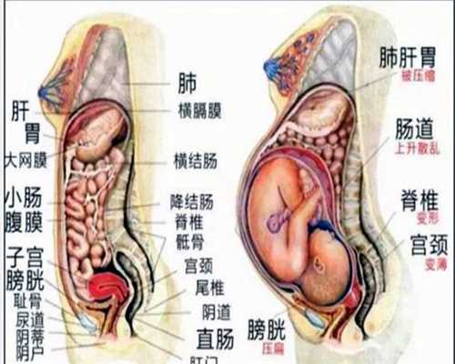 代孕初期尿频是男是女准吗_杭州助孕机构信得过