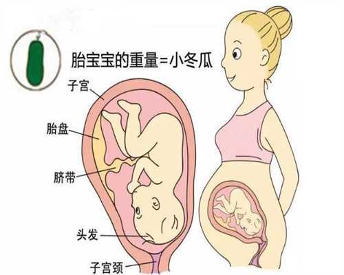 滑胎助孕中这些食物千万不能吃！：天津代孕站