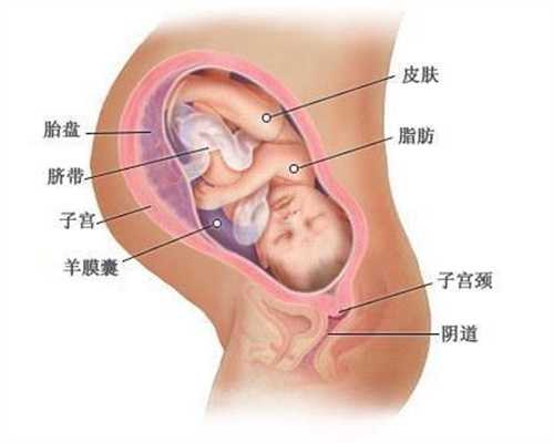 助孕初期症状73：黑龙江试管婴儿代孕
