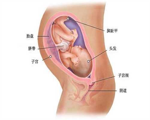 孕妇咳嗽对胎儿有影响吗2：中国的代孕公司，违