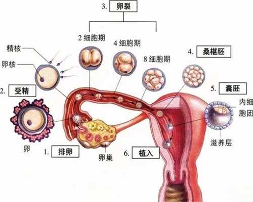 郑州阳光代孕公司：农妇助孕30周确诊胃癌晚期曾